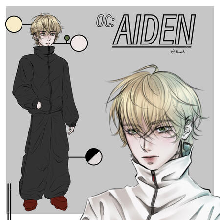 Aiden - Reference Sheet